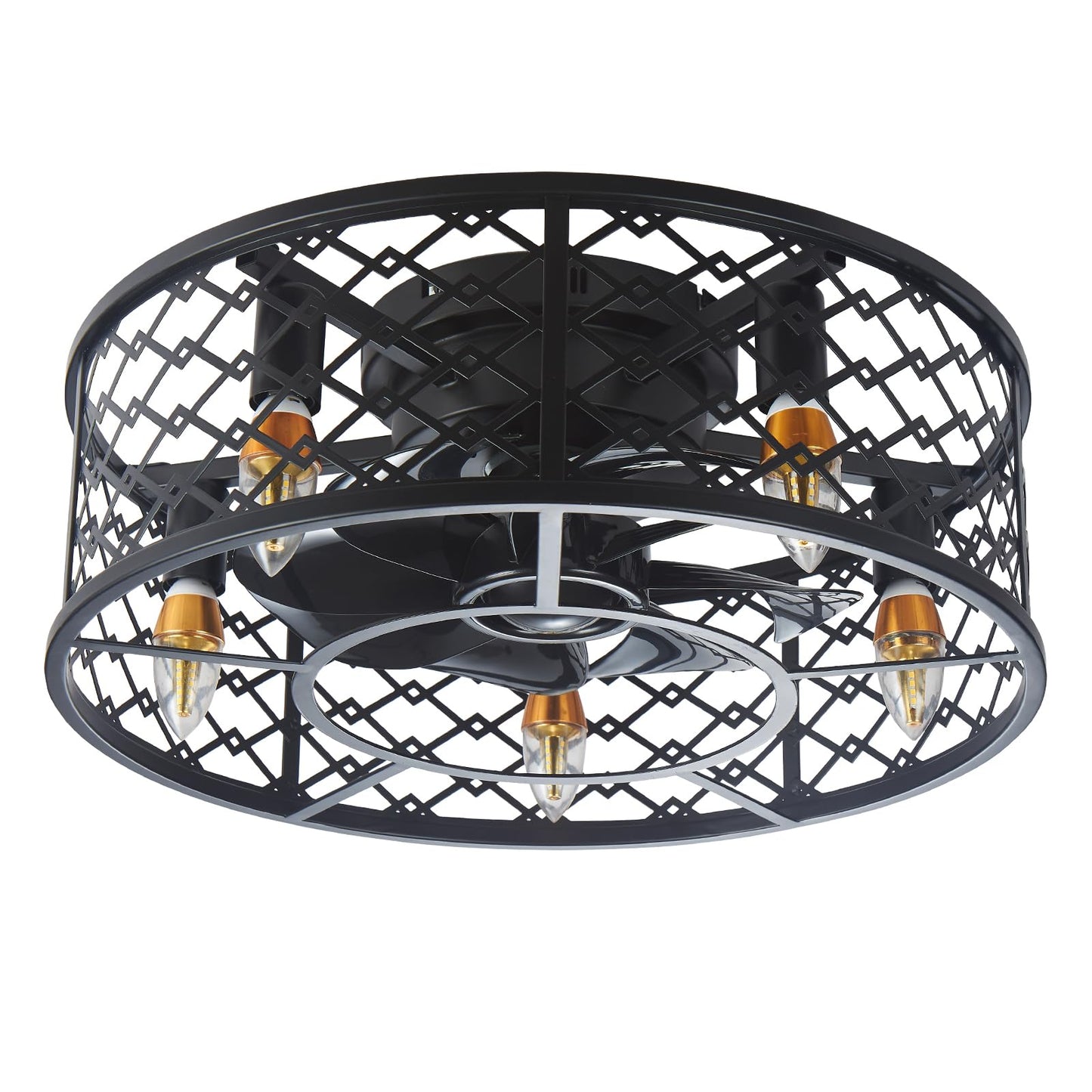 Modern Enclosed Ceiling Fan with Light Indoor with Remote Control, Black Caged Industrial Ceiling Fan Light Kit for Living Room, Bedroom, Kitchen